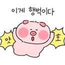 말똥도나스논골 이미지