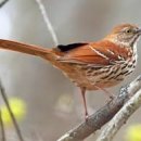 퇴미2공원1 이미지