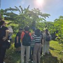 청파농장 이미지