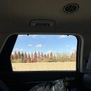 밥먹자돈먹자 이미지