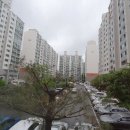 들말마트24 네이버블로그