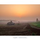 안성목장 이미지