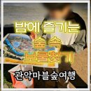 가족이 함께 떠나는 숲체험 & 놀이 -작은 나의 집 | [서울 유아 숲체험 추천] 아이와 함께한 ‘관악 마블 숲여행’ 후기｜관악산 가족 나들이 코스
