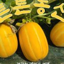 싱싱농산