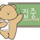 풍낙지 네이버블로그