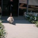 정다원 | W 8.정다원 (정딴딴) 사회자 후기