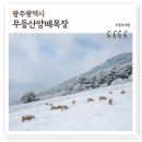 뿌리목장 | 전라도 광주 가볼만한곳 무등산양떼목장, 먹이주기체험 가능 호남의 알프스