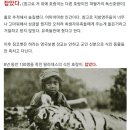 코벳 Daum카페