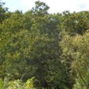 진성개발 주식회사 이미지