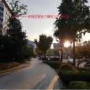 스페이스 본