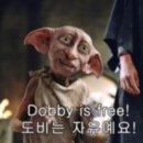 타오름달 이미지
