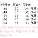 아메리칸 불리 하우스 이미지