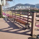 시기동주민센터 이미지