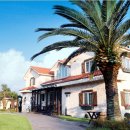 오렌지빌 이미지