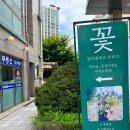 담다플레르