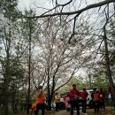 장애인산악회 이미지