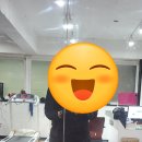 피노키오복싱 이미지