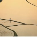 은상목장 이미지