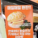 하마'S 티스토리