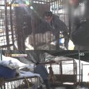 누렁이농장 이미지