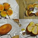 이조명과 이미지