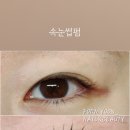 프롬윤 이미지