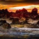 글로벌 행정사 이미지