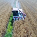 강진슈퍼 이미지