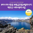 천지항공여행사 이미지