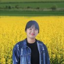 보생제 이미지