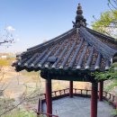 신녕지구 전승비 이미지