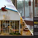 대룡축산 이미지