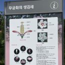 세종동_전월산 무궁화 테마공원 | 세종 무궁화테마공원 - 무궁화 개화상태, 아이와 가볼한만곳 추천