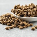 에이드동물병원 이미지