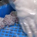 영동전통시장 이미지