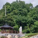 팔봉로 Daum카페