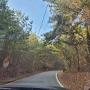 자연휴양림 강당 화장실 이미지