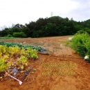 원주토지공인중개사사무소 이미지