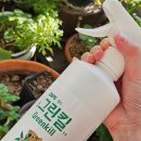 동북유치원 | 해충퇴치제 추천 바퀴 모기 진드기 개미엔 저독성 잡스 동북 그린킬 살충제