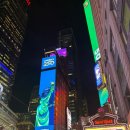 라이온쇼핑 | 미국 브로드웨이에서 라이온킹 뮤지컬 본 후기, 무료페리