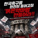 한국축구를 완전히 뜯어고칠 ‘붉은악마법’ 제정하라!! 이미지
