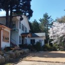 장산민박 이미지