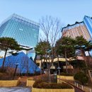 강원도 정선 하이원리조트 그랜드 호텔 컨벤션타워 슈페리어더블