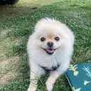 세천강변 이미지