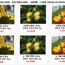 선비골농장 이미지