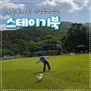 대자연 속 600평 독채마당 포항 스테이기북 반려견독채펜션 후기와 포항맛집추천