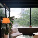 분당-311 이미지