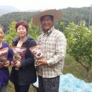 혜연농장 이미지