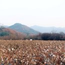 옷의나라 이미지