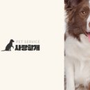 사랑할개 이미지